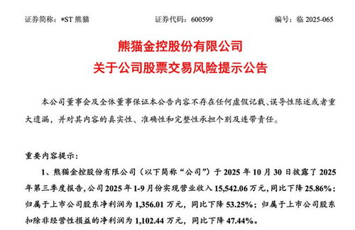 熊貓金控深陷多重風(fēng)險(xiǎn) 業(yè)績下滑、審計(jì)非標(biāo)與股份拍賣背后的危機(jī)